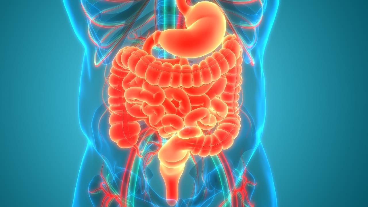 lower-gi-tract-summary